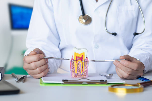 Best Emergency Treatment for Dental Infections or Abscesses in Springfield, CO